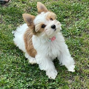 Meet your Posher, Renee